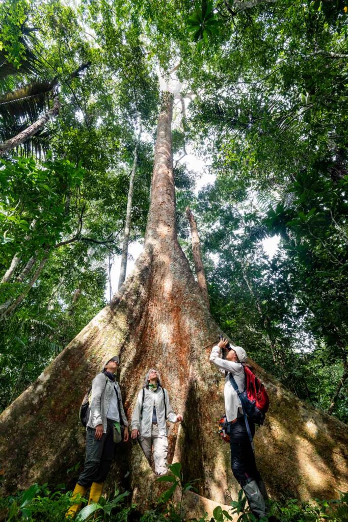 ARBIO. Rocio Tatiana Gianella Espinosa junto a un árbol de shihuahuaco