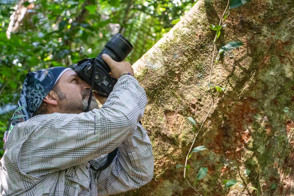 Safaris fotograficos, Michael Tweddle