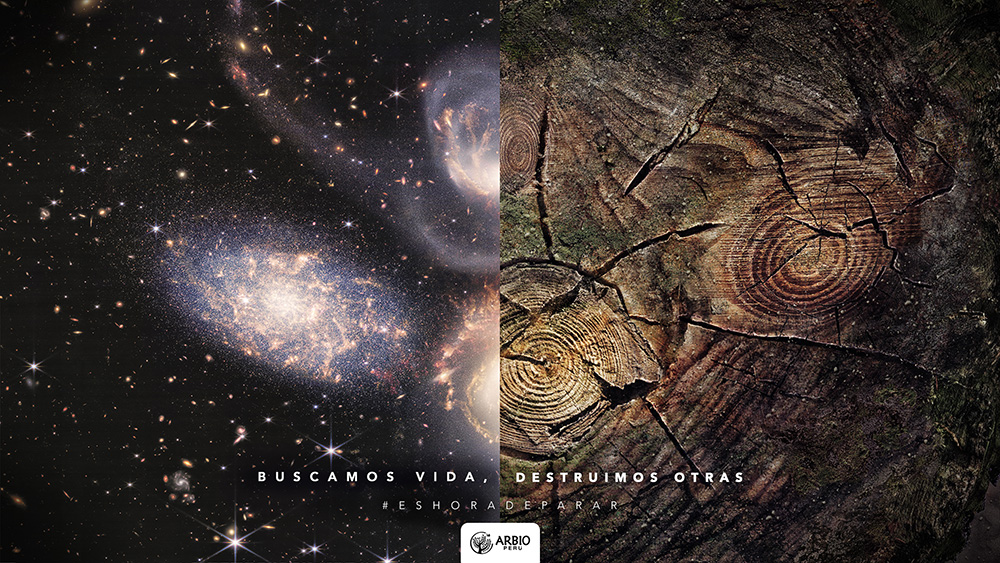 ARBIO y TBWA en Cannes