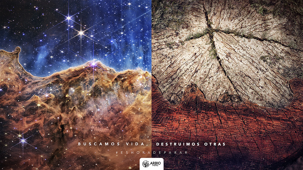 ARBIO y TBWA en Cannes