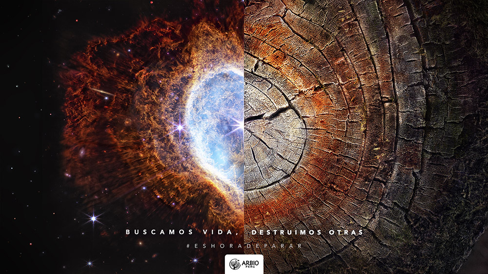 ARBIO y TBWA en Cannes