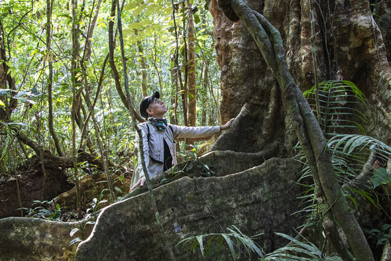 Rocio Shihuahuaco Taricaya Rocio Espinosa a los pies de un