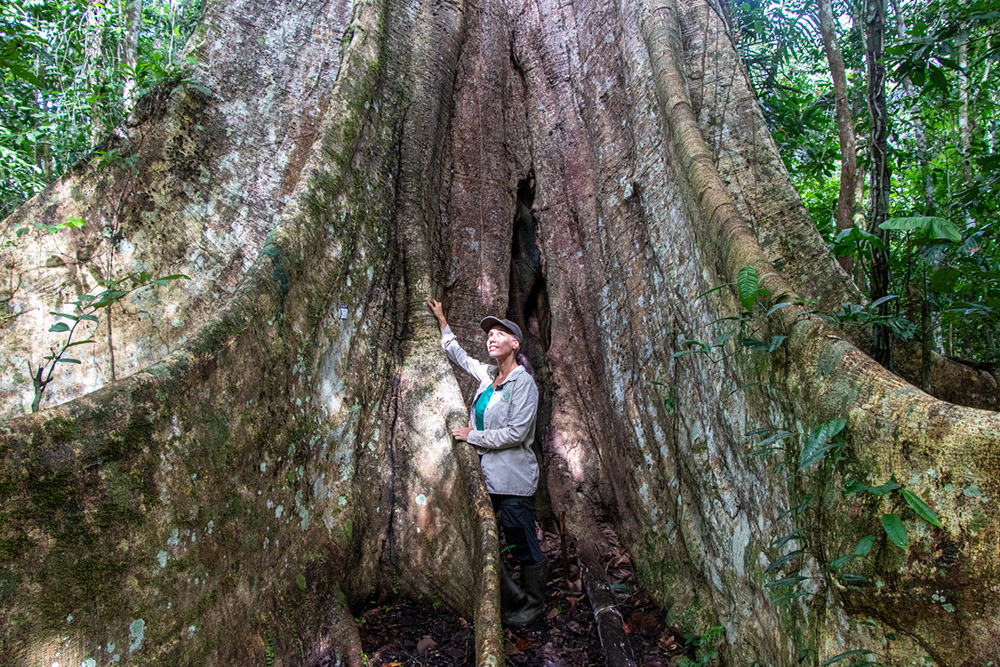 Tatiana Espinosa con Árbol Madre