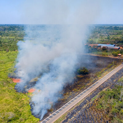 Punto de no retorno. Incendio y deforestación