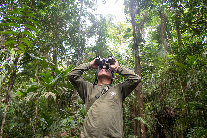 Medio Ambiente - Hombre con binoculares